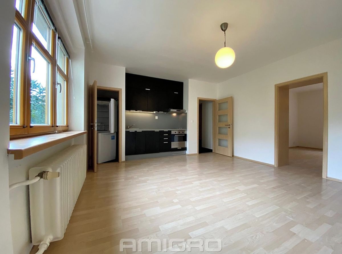 Pronájem bytu 2+kk 46 m² – fotografie 3