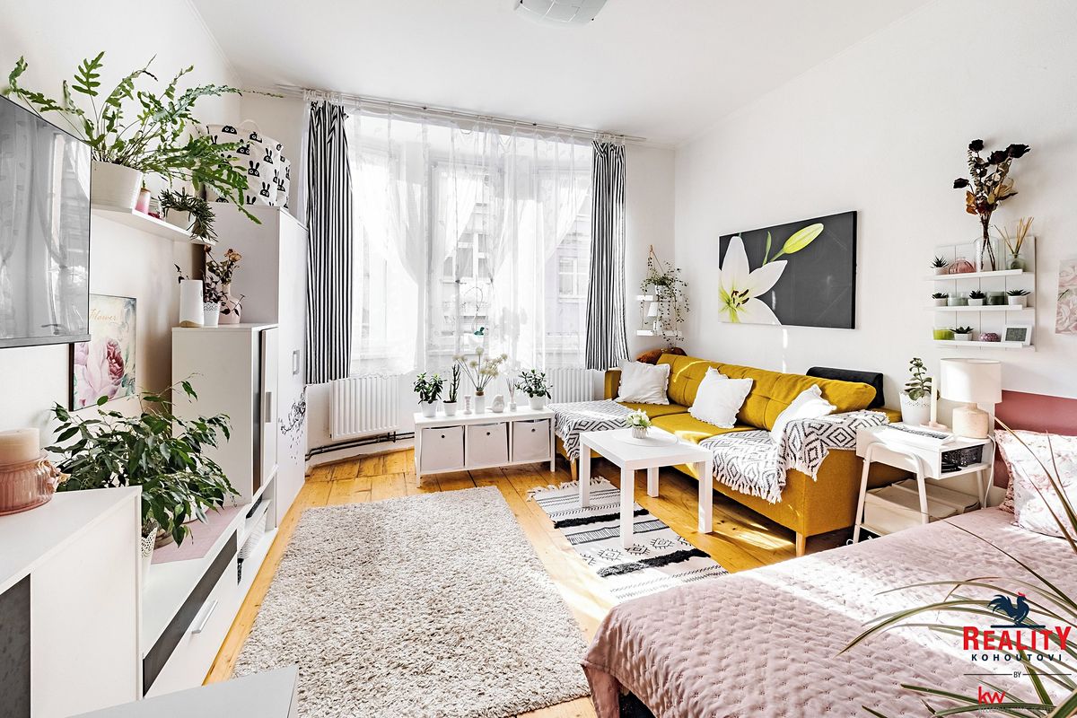 Prodej činžovního domu 492 m² – fotografie 4