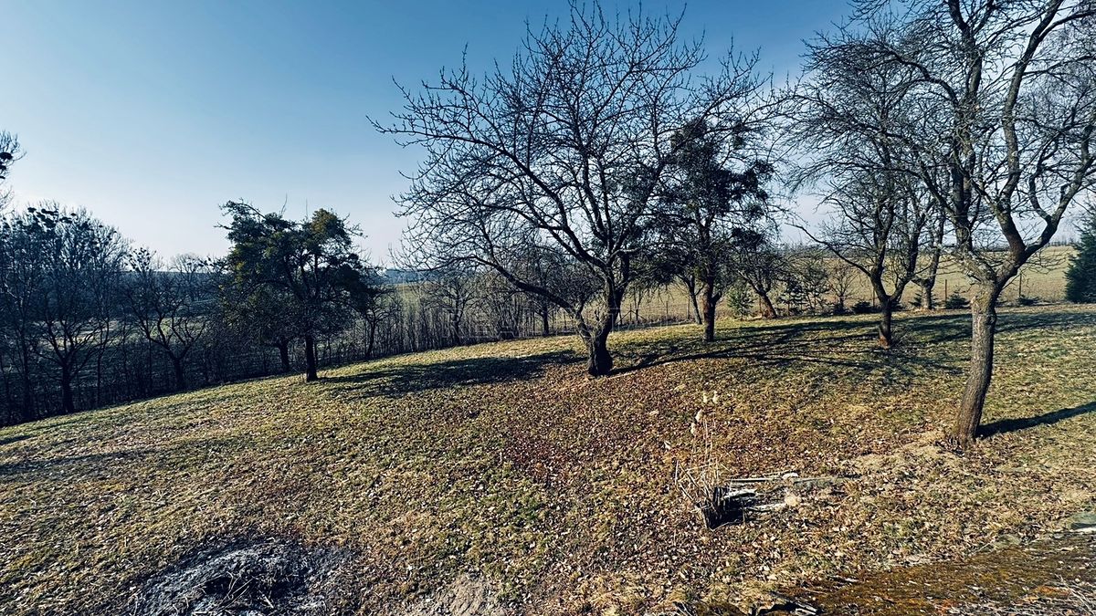 Prodej stavebního pozemku 3362 m² – fotografie 3