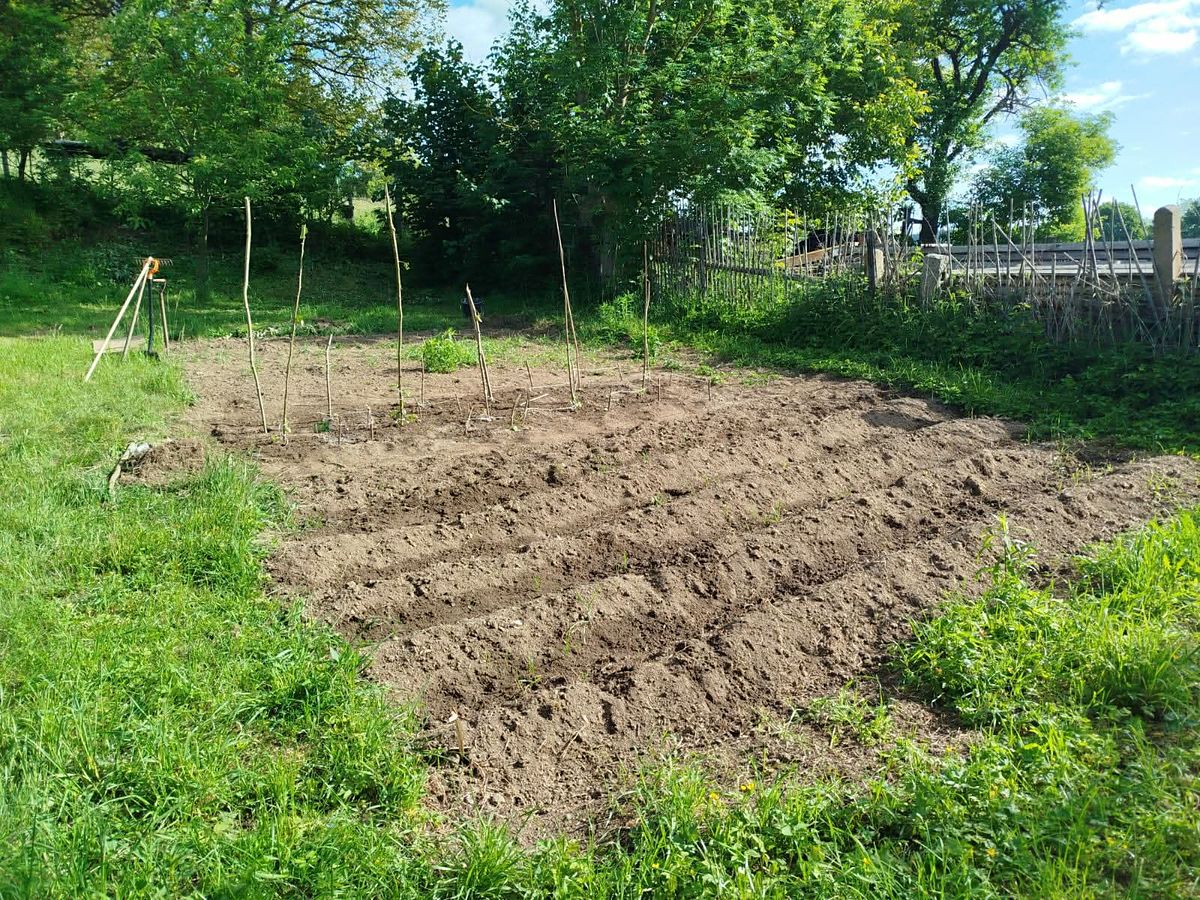 Pronájem chalupy 166 m², pozemek 509 m² – fotografie 4