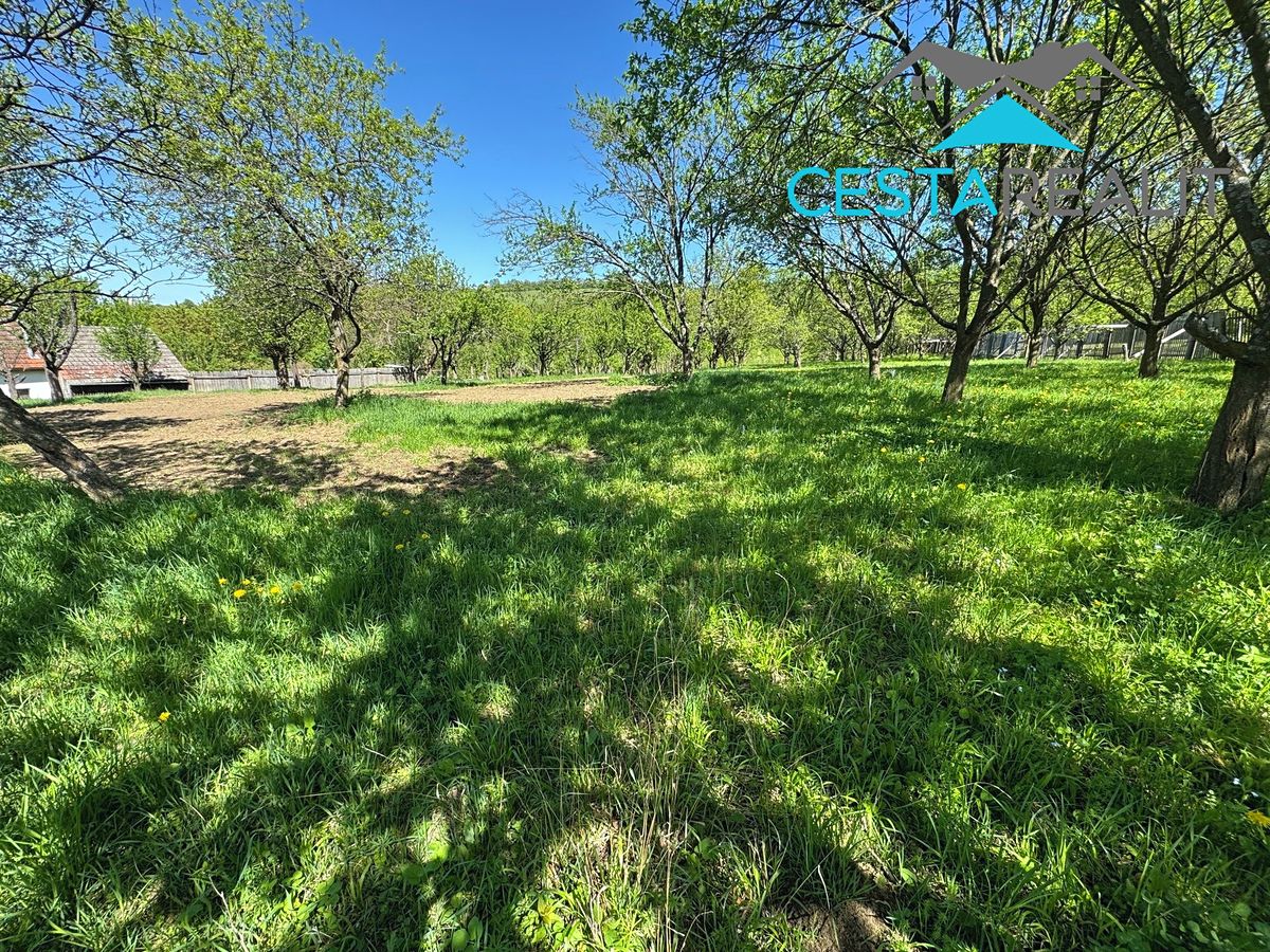 Prodej rodinného domu 100 m², pozemek 4424 m² – fotografie 3