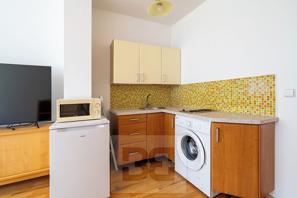Pronájem bytu 1+kk 30 m² – fotografie 4