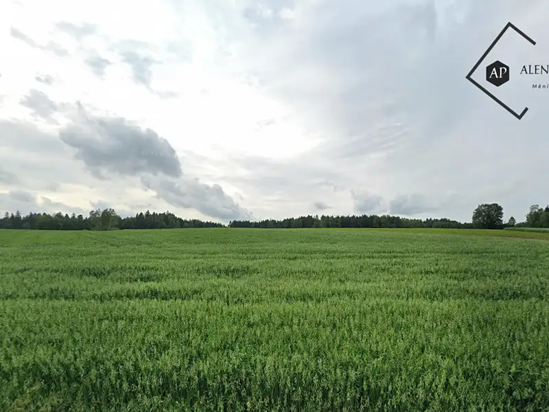 Prodej pole 9749 m², Vítanov – náhled fotky 3
