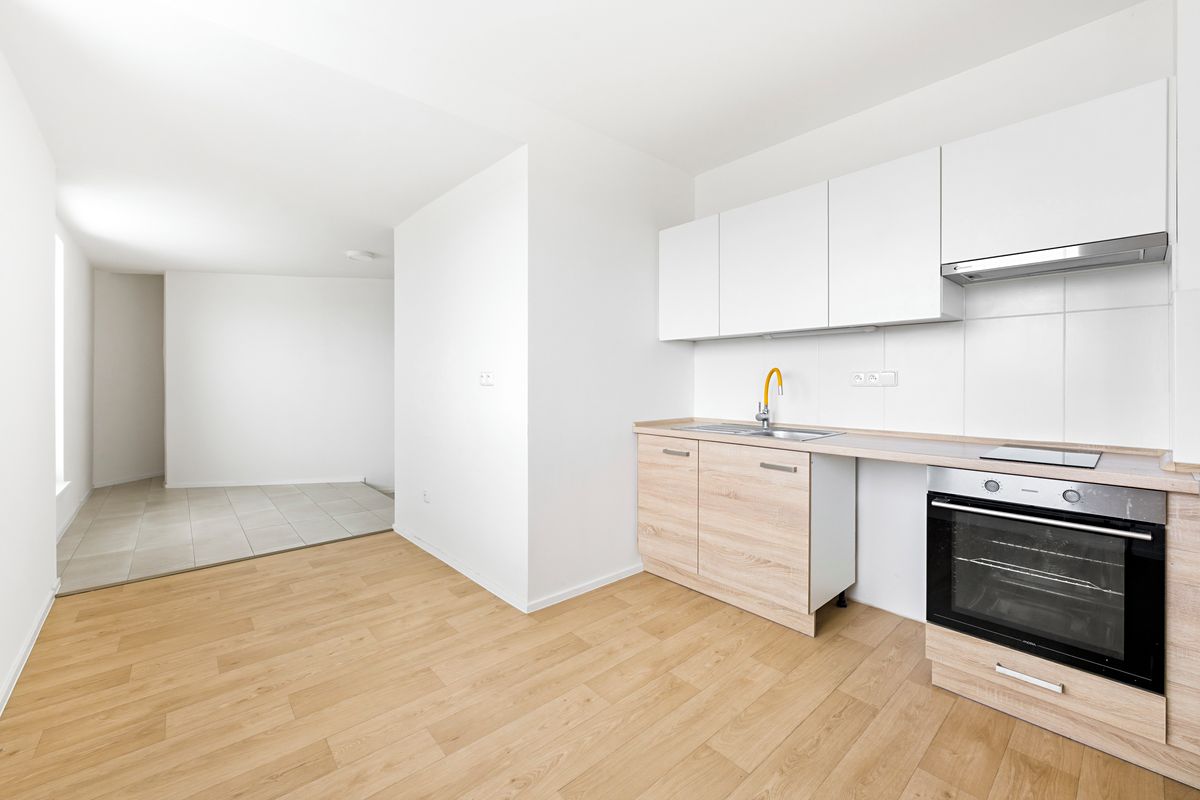 Pronájem bytu 1+1 66 m² – fotografie 5