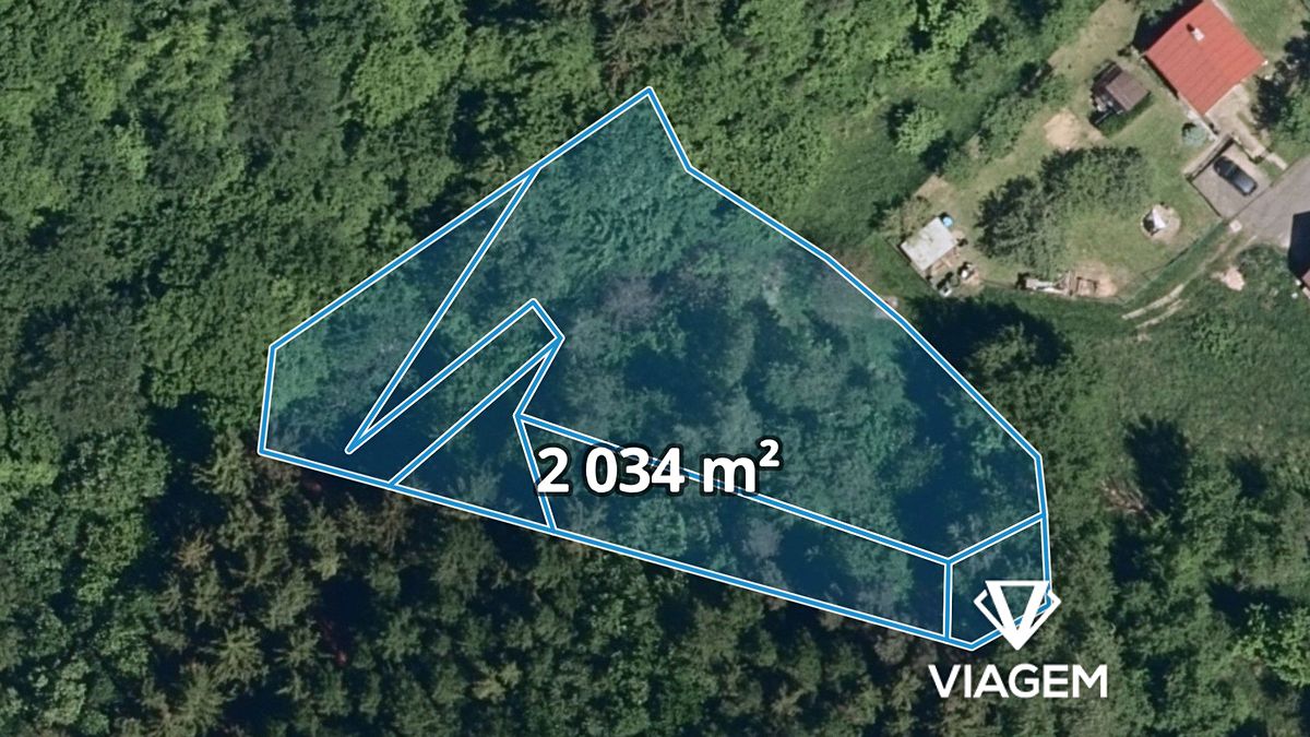 Prodej lesa 2034 m²