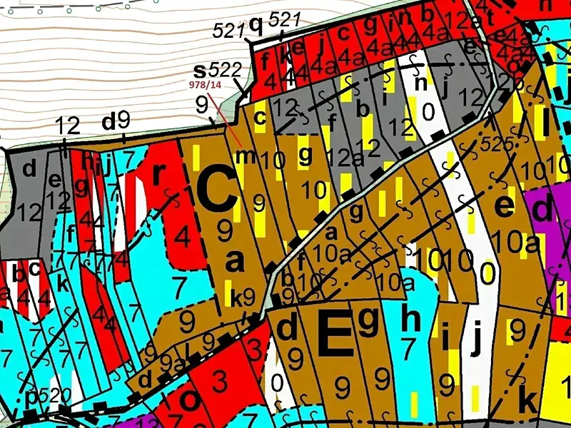 Dražba lesa 2762 m², Milavče – náhled fotky 3