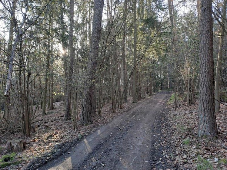 Grundstück zum Kauf, 3.017 m² (4 von 12)