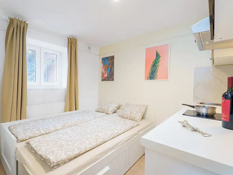Prodej bytu 1+kk 15 m², Praha – náhled fotky 1
