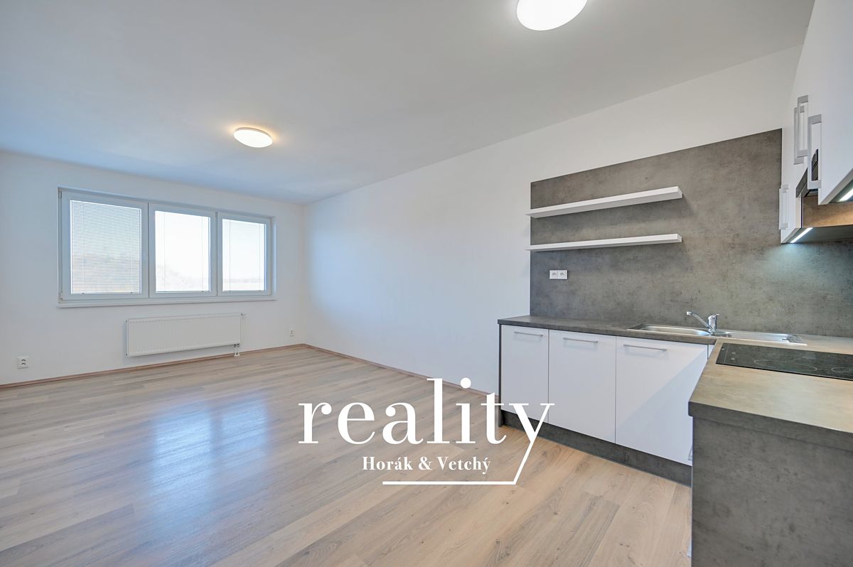 Pronájem bytu 1+kk 33 m² – fotografie 5