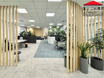 Pronájem kanceláře 342 m²