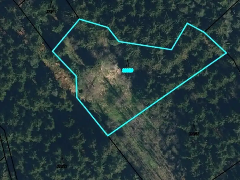 Dražba lesa 2840 m², Pelhřimov – náhled fotky 3
