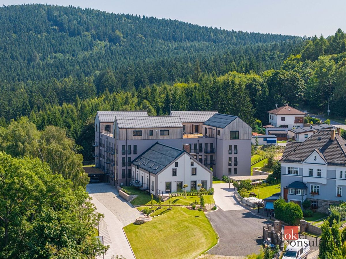 Pronájem bytu 1+kk 50 m²