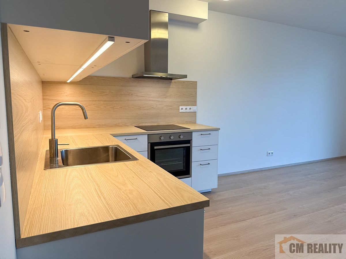 Pronájem bytu 2+kk 56 m² – fotografie 4