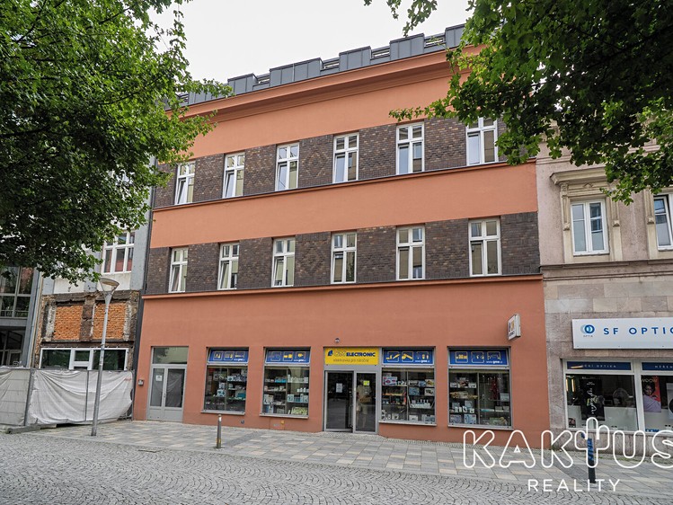 Wohnung 1+1 zur Miete, 42 m² (10 von 12)