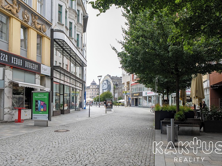 Wohnung 1+1 zur Miete, 42 m² (11 von 12)