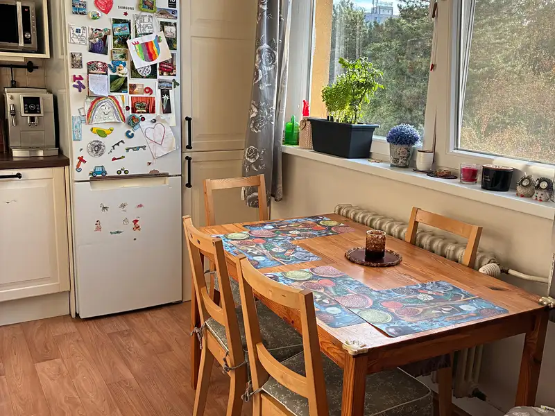 Prodej bytu 2+1 58 m², Brno – náhled fotky 2