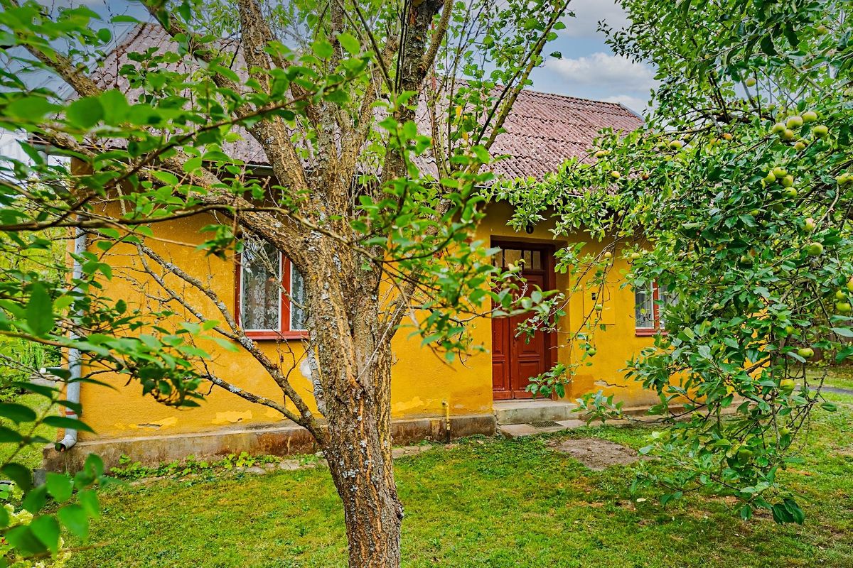 Prodej rodinného domu 142 m², pozemek 522 m² – fotografie 4