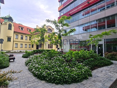 Pronájem obchodního prostoru 194 m²