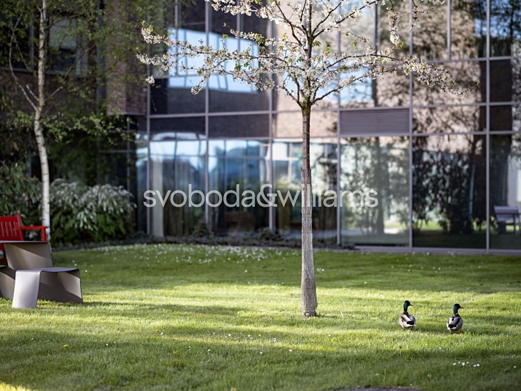 Pronájem komerčního prostoru, 820 m² (18 z 26)