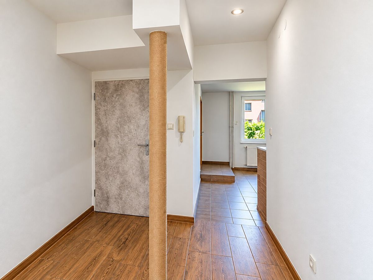 Prodej rodinného domu 260 m², pozemek 1386 m² – fotografie 5