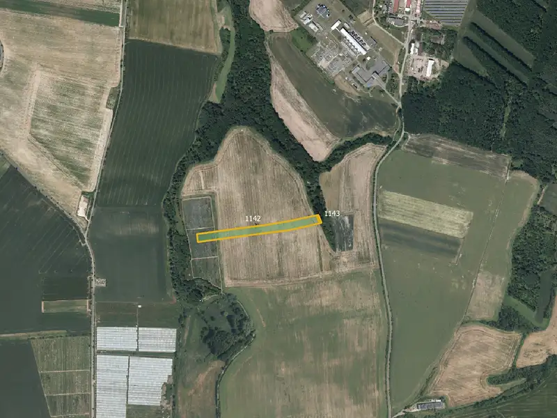 Prodej sadu, vinice 7390 m², Vitice – náhled fotky 1