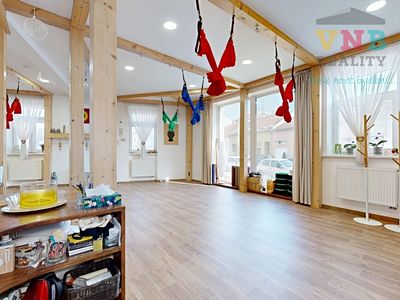 Prodej komerční nemovitosti 205 m²