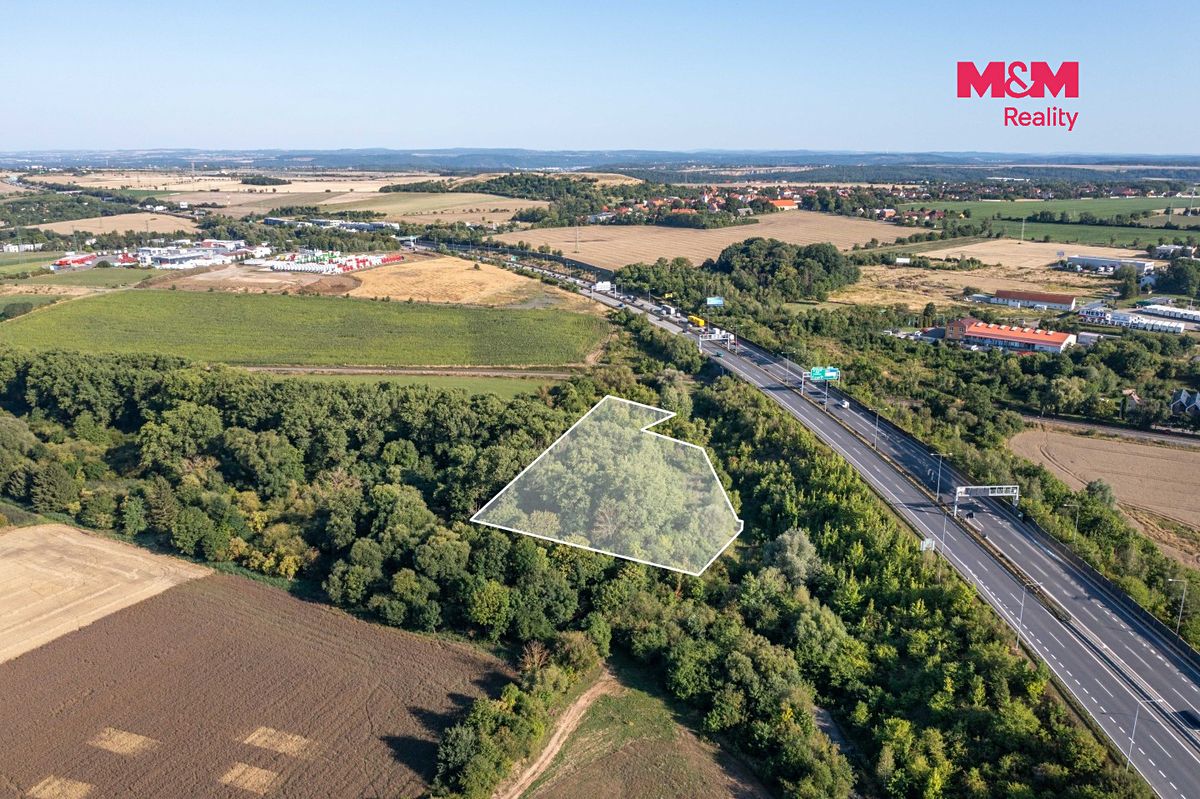Prodej lesa 8894 m² – fotografie 4