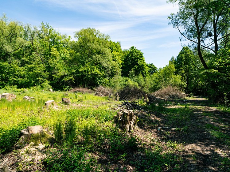Ділянка на продаж, 2 646 м² (5 з 12)