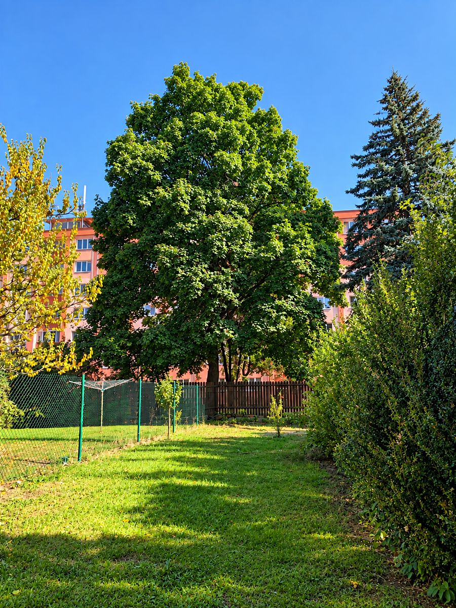 Prodej bytu 3+1 70 m² – fotografie 5