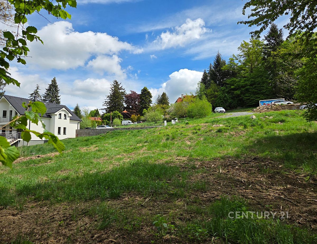 Prodej stavebního pozemku 1217 m² – fotografie 4