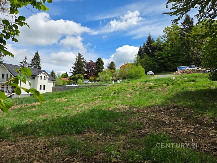 Grundstück zum Kauf, 1.217 m² (4 von 12)