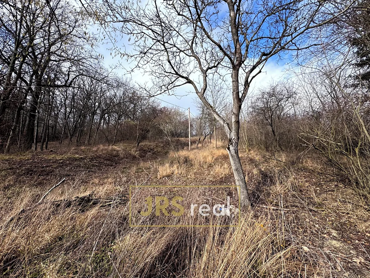 Fotka 8 z 26