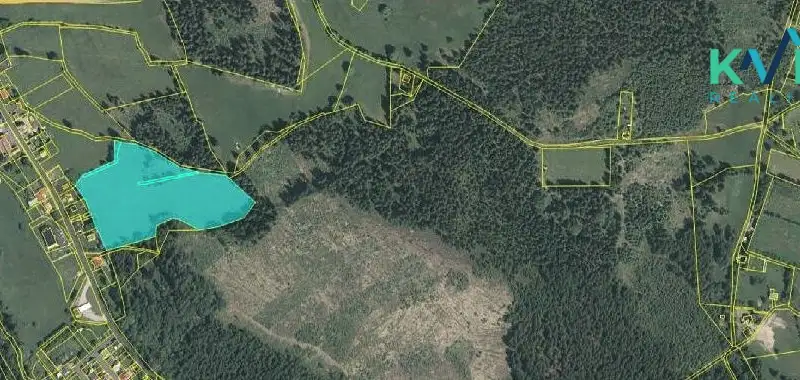 Prodej louky 25316 m², Pernink – náhled fotky 2