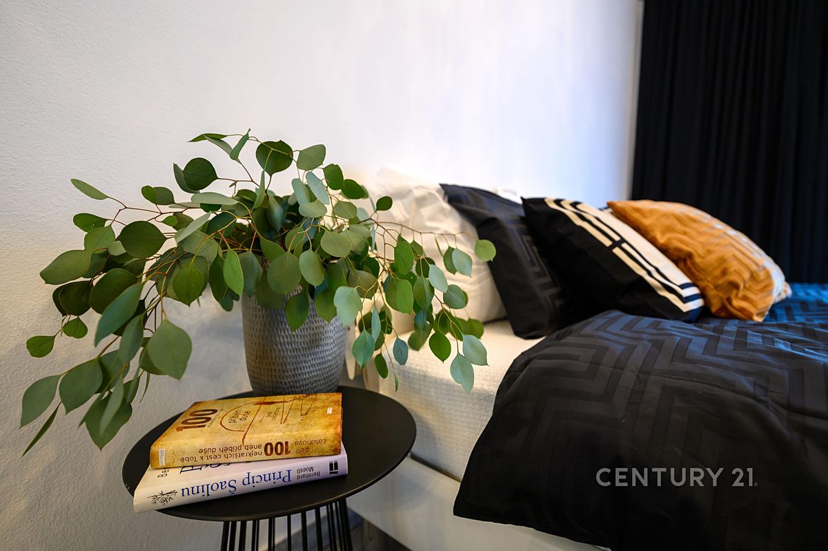 Pronájem bytu 3+kk 78 m² – fotografie 4