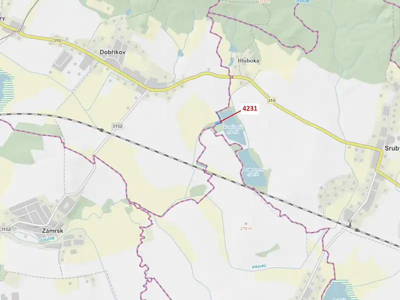 Dražba lesa 2407 m², Dobříkov – náhled fotky 1