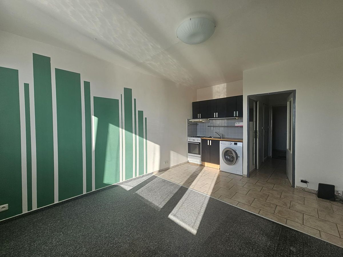 Pronájem bytu 1+kk 24 m² – fotografie 3