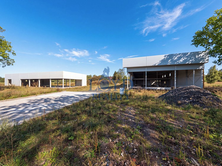 Prodej komerčního prostoru, 1 251 m² (4 z 24)