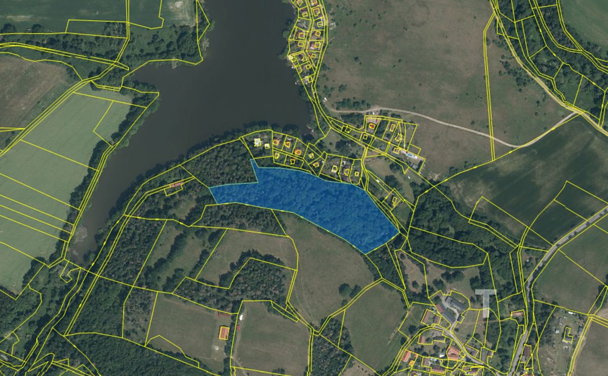 Prodej lesa 19533 m² – fotografie 3