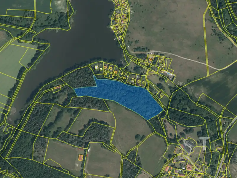 Prodej lesa 19533 m², Vrchotovy Janovice – náhled fotky 3