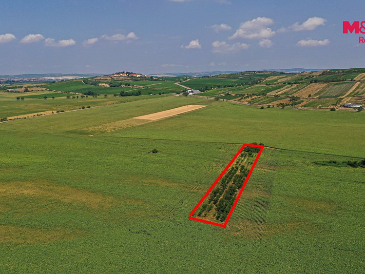 Ділянка на продаж, 14 490 м² (17 з 18)