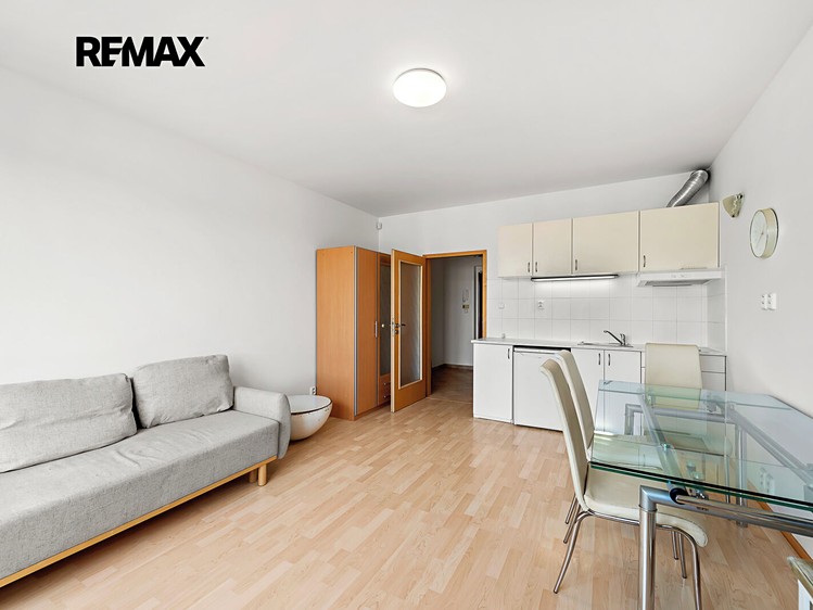 Prodej bytu 1+kk, 32 m² (4 z 19)