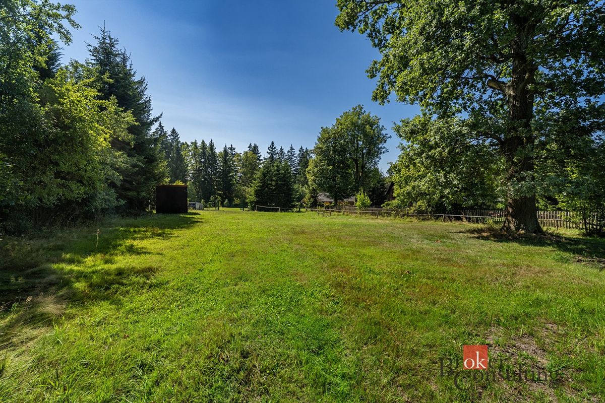 Prodej stavebního pozemku 12049 m² – fotografie 5