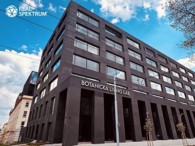 Pronájem kanceláře 250 m²