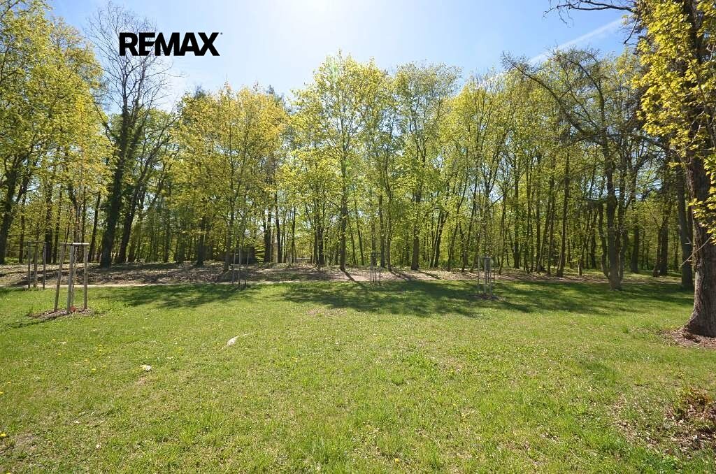 Pronájem zahrady 800 m² – fotografie 4