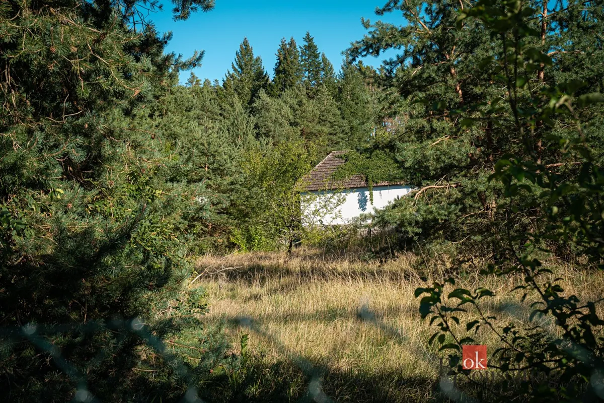 Fotka 22 z 29