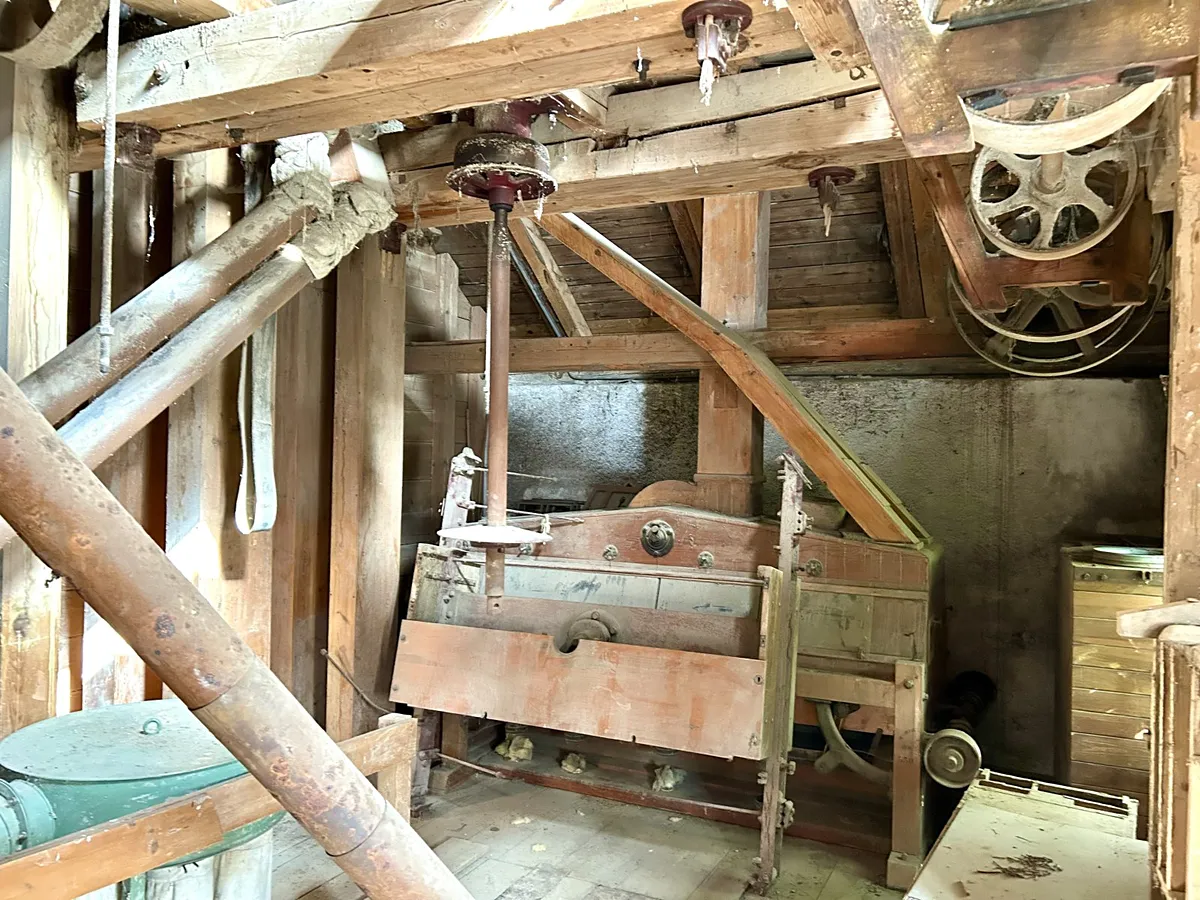 Fotka 20 z 25