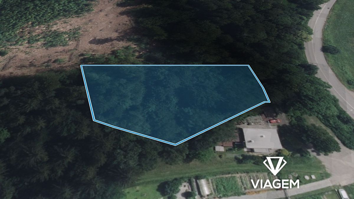Prodej lesa 2745 m² – fotografie 2