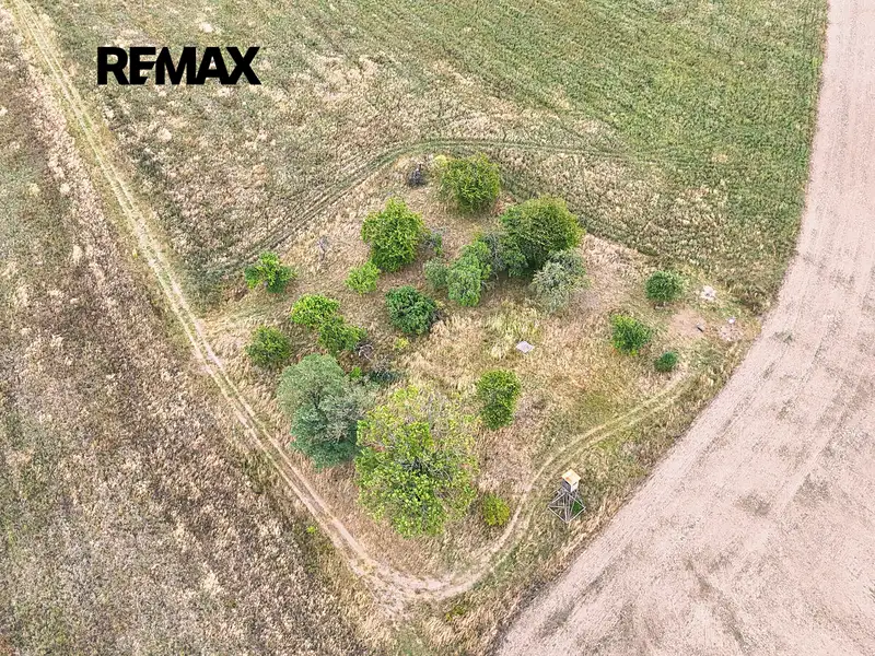 Prodej stavebního pozemku 3633 m², Ošelín – náhled fotky 2