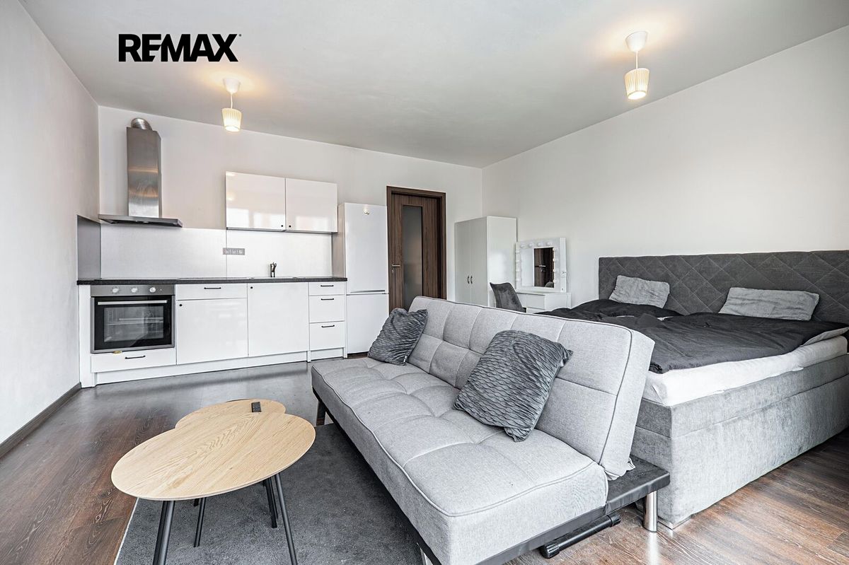 Pronájem bytu 1+kk 33 m² – fotografie 4