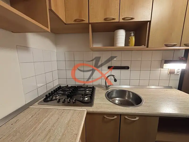 Pronájem bytu 1+1 38 m², Rožnov pod Radhoštěm – náhled fotky 3